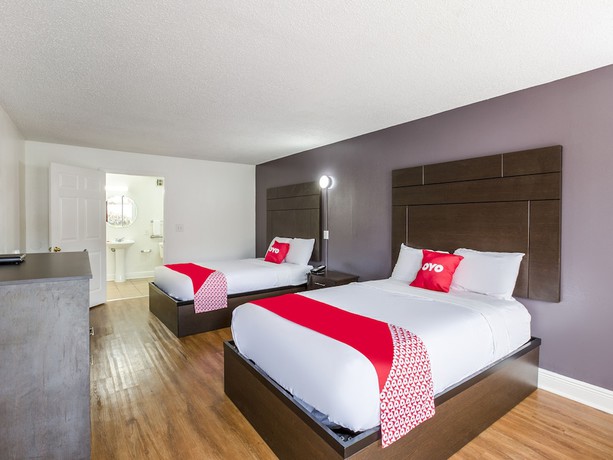 Imagen de la habitación del Hotel OYO Hotel Baton Rouge - Mead Rd Louisiana. Foto 3