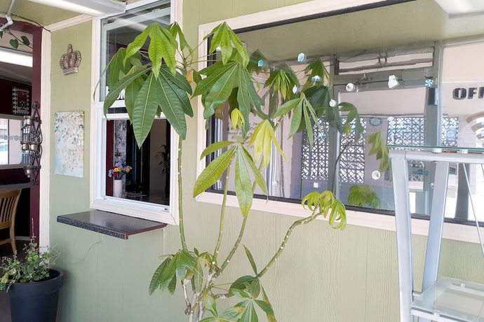 Imagen de los interiores del Hotel OYO Kings at Clovis. Foto 18