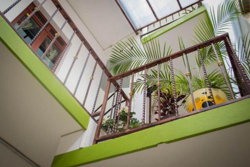 Imagen general del Hotel OYO Magnolia. Foto 1