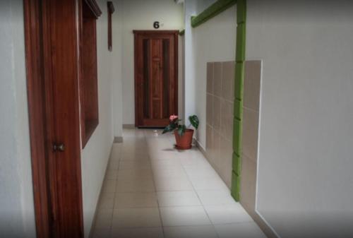 Imagen general del Hotel OYO Magnolia. Foto 5