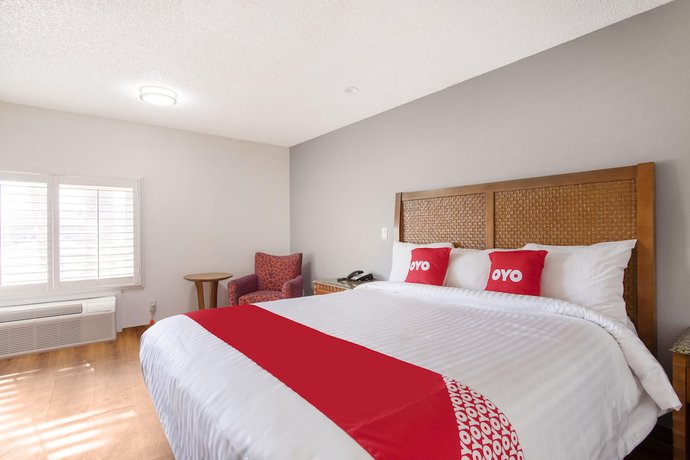 Imagen de la habitación del Hotel OYO Palmdale - Antelope Valley. Foto 12
