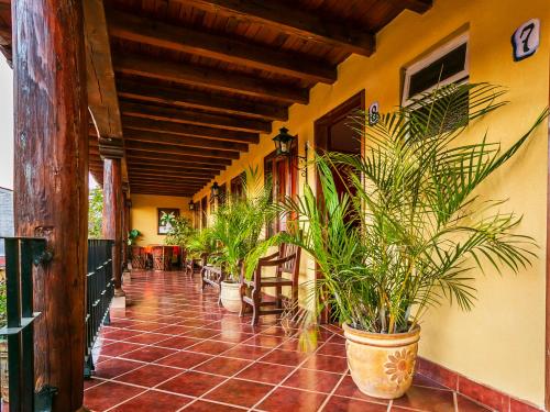 Imagen general del Hotel OYO Posada De Los Angeles, P&aacute;tzcuaro. Foto 2