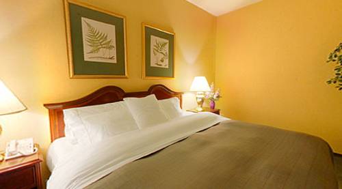Imagen de la habitación del Hotel OYO St. Louis Downtown City Center MO. Foto 3