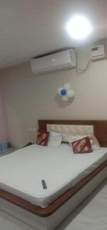 Imagen general del Hotel OYO The Paris. Foto 4