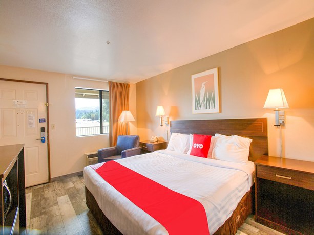 Imagen de la habitación del Hotel OYO Woodland and Suites. Foto 11