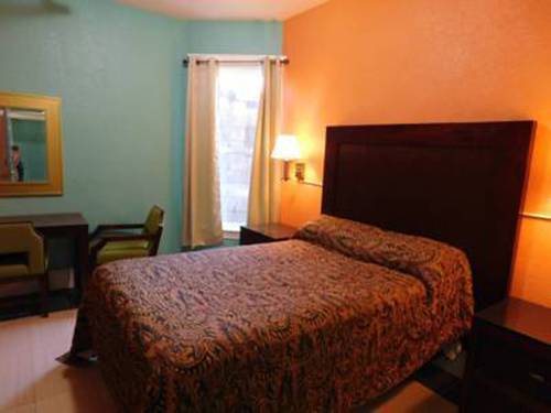 Imagen de la habitación del Hotel Oak. Foto 3