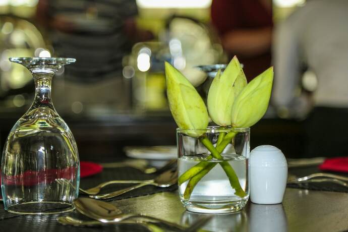 Imagen general del Hotel Oak Ray Wild Yala. Foto 11