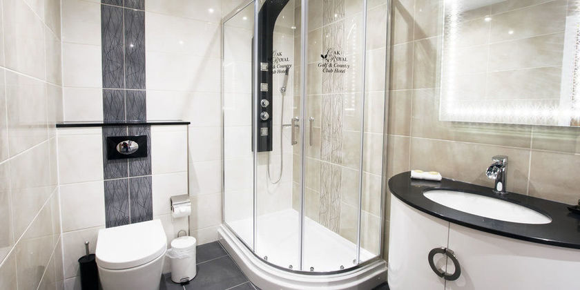 Imagen de la habitación del Hotel Oak Royal. Foto 6