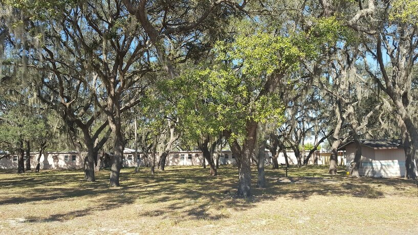 Imagen general del Hotel Oak Tree Inn. Foto 13