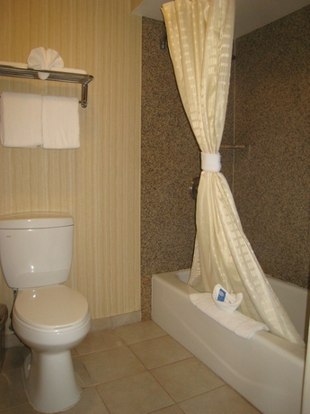 Imagen de la habitación del Hotel Oak Tree Inn, Monrovia. Foto 3