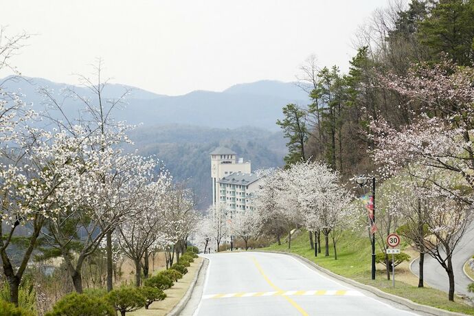 Imagen general del Hotel Oak Valley Resort. Foto 1