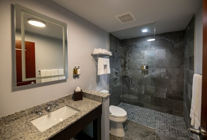 Imagen de la habitación del Hotel Oaks On The River. Foto 18