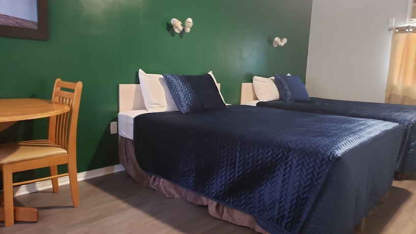 Imagen de la habitación del Hotel Oakwood Motel. Foto 14