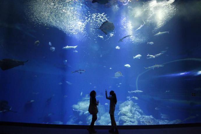 Imagen general del Hotel Oarai Hotel. Foto 15