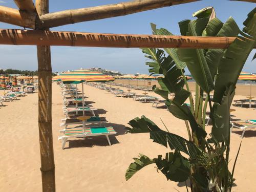 Imagen general del Hotel Oasi Beach, Vieste. Foto 1
