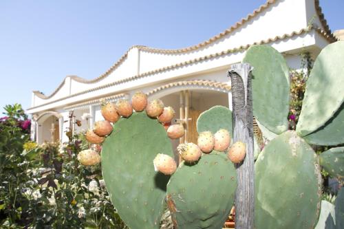Imagen general del Hotel Oasi Beach, Vieste. Foto 5