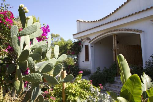 Imagen general del Hotel Oasi Beach, Vieste. Foto 8