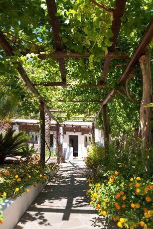 Imagen de los exteriores del Hotel Oasi. Foto 5