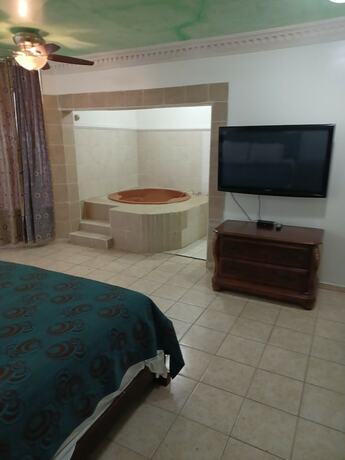 Imagen de la habitación del Hotel Oasis Adult Resort. Foto 17