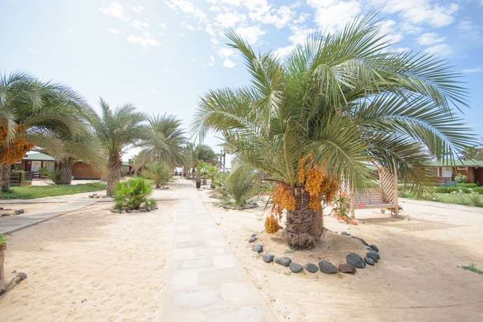 Imagen de los interiores del Hotel Oasis Belorizonte. Foto 11