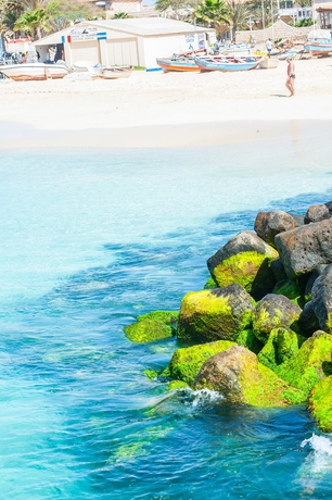 Imagen de los exteriores del Hotel Oasis Belorizonte. Foto 10