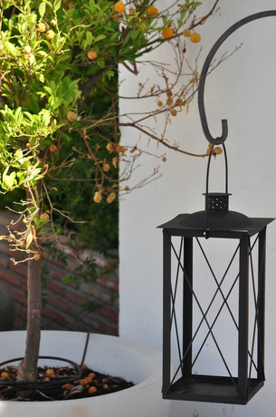 Imagen de los exteriores del Hotel Oasis Cordoba. Foto 12