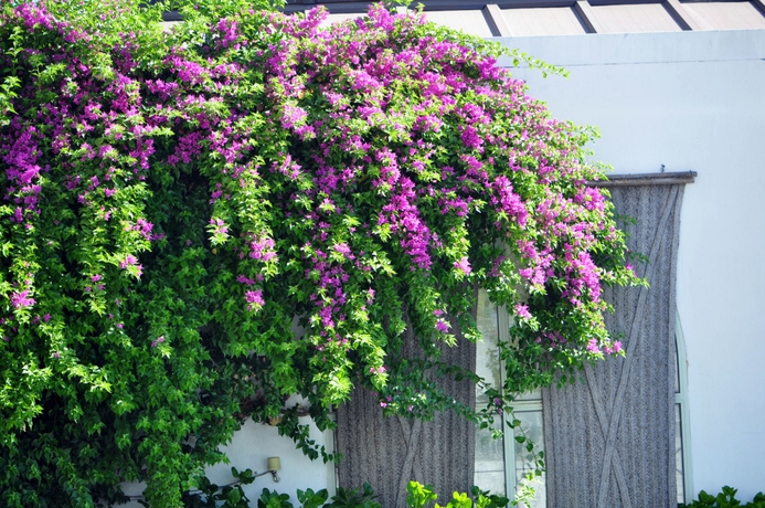 Imagen de los exteriores del Hotel Oasis Cordoba. Foto 13