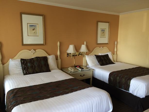 Imagen de la habitación del Hotel Oasis Inn and Suites. Foto 11