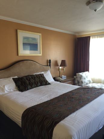 Imagen de la habitación del Hotel Oasis Inn and Suites. Foto 13
