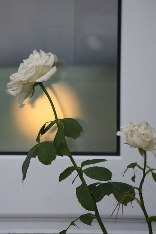 Imagen de la habitación del Hotel Oasis, Léucade. Foto 9