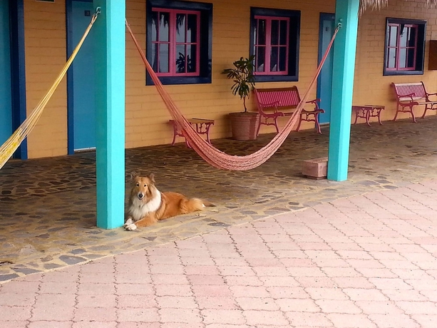 Imagen de la habitación del Hotel Oasis, Loreto. Foto 6