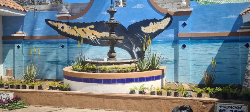 Imagen general del Hotel Oasis, MAZATLAN. Foto 6