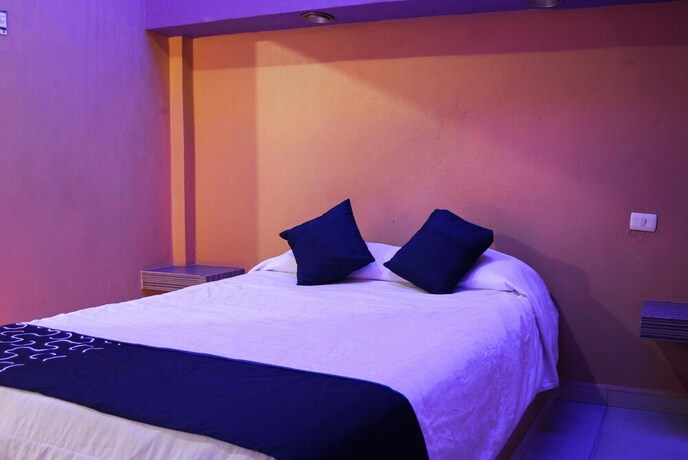 Imagen general del Hotel Oasis, Monterrey. Foto 10