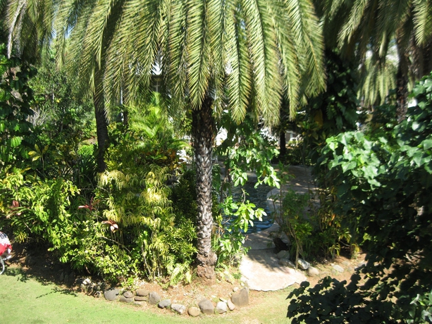 Imagen de los exteriores del Hotel Oasis, Nadi. Foto 9