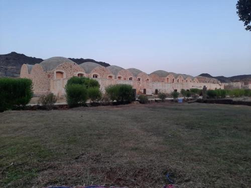 Imagen general del Hotel Oasis Panorama, Baharia Oasis. Foto 12