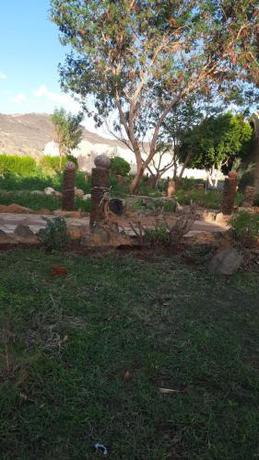 Imagen general del Hotel Oasis Panorama, Baharia Oasis. Foto 13