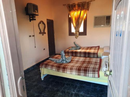 Imagen general del Hotel Oasis Panorama. Foto 16