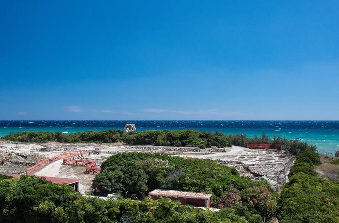 Imagen de los exteriores del Hotel Oasis Park, MAGLIE. Foto 7