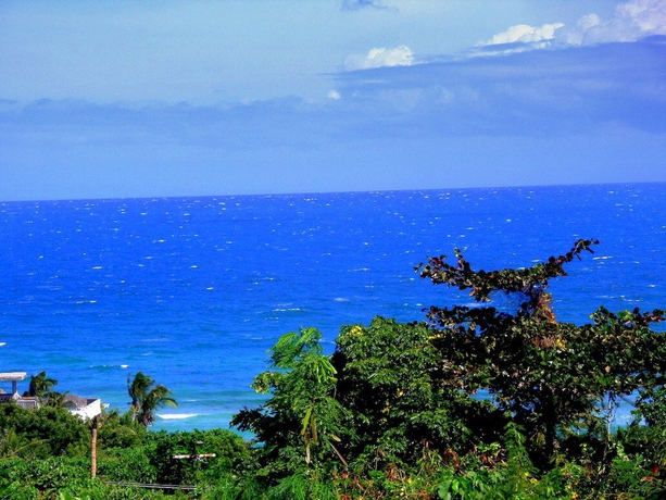 Imagen de los exteriores del Hotel Oasis Resort and Spas. Foto 12