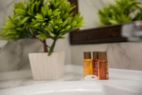 Imagen de la habitación del Hotel Oasis del Sol. Foto 7