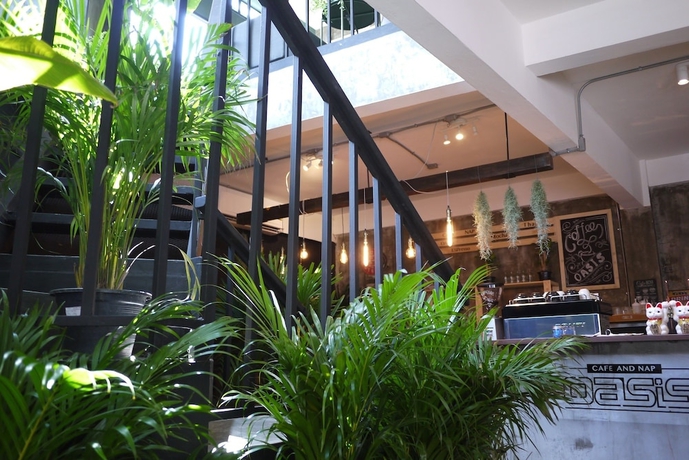 Imagen general del Hotel OasisCafeandNap - Hostel. Foto 1