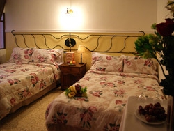 Imagen de la habitación del Hotel Oaxaca Guest. Foto 2