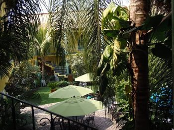 Imagen del bar/restaurante del Hotel Oaxtepec. Foto 4