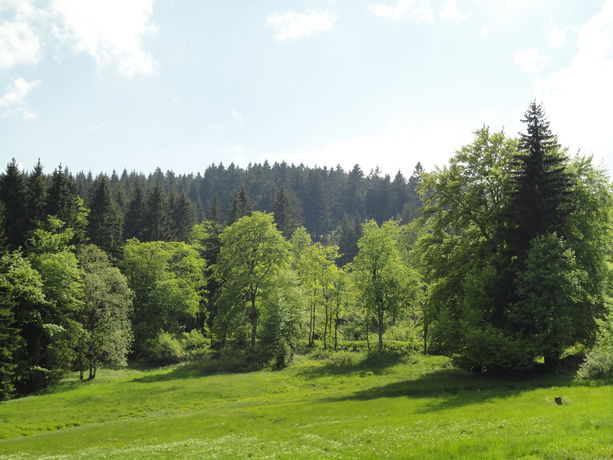 Imagen de los interiores del Hotel Obere Schweizerh&uuml;tte. Foto 15