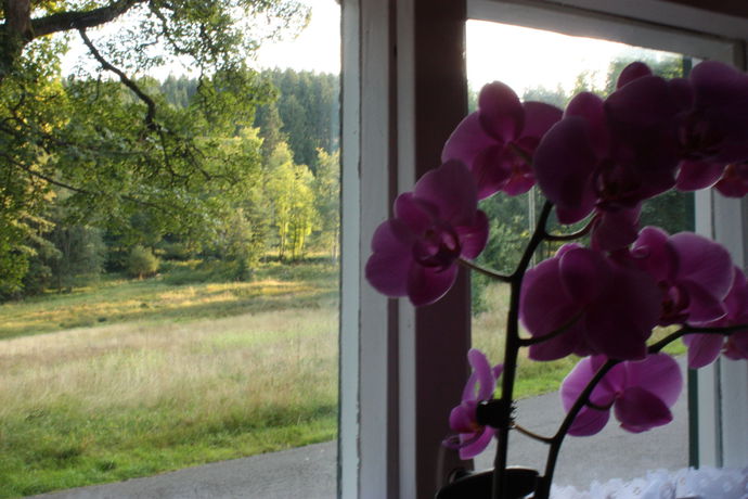 Imagen de la habitación del Hotel Obere Schweizerh&uuml;tte. Foto 9