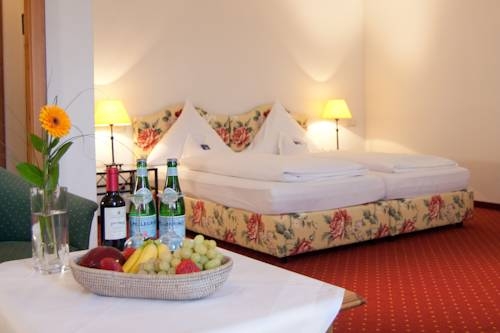 Imagen general del Hotel Obermaier. Foto 3