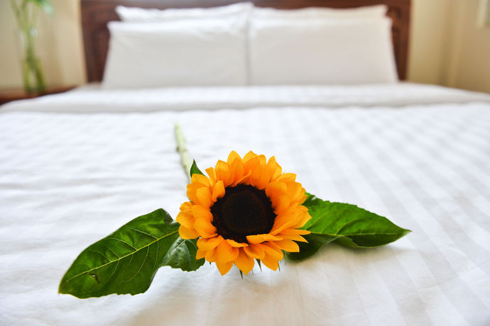 Imagen de la habitación del Hotel Oc Tien Sa. Foto 8