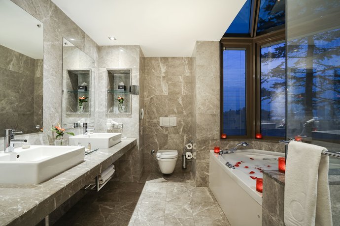 Imagen de la habitación del Hotel Occidental Ankara. Foto 13