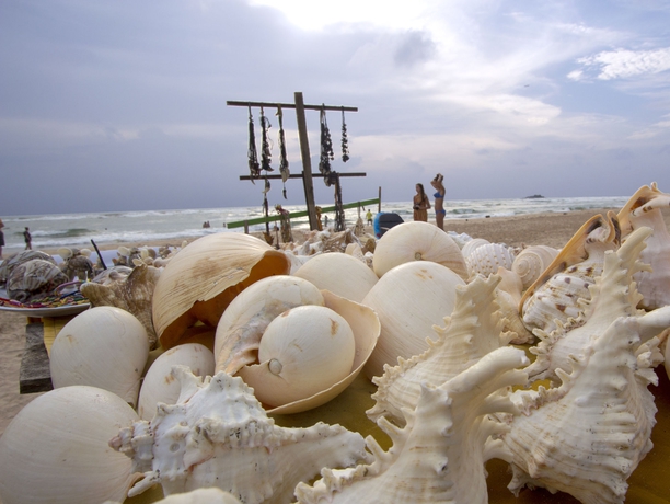 Imagen de los exteriores del Hotel Occidental Eden Beruwala. Foto 14