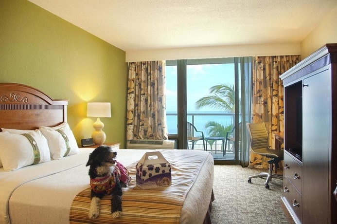 Imagen de la habitación del Hotel Ocean Breeze Inn Vero Beach. Foto 2